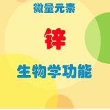 鋅對(duì)生物的重要性